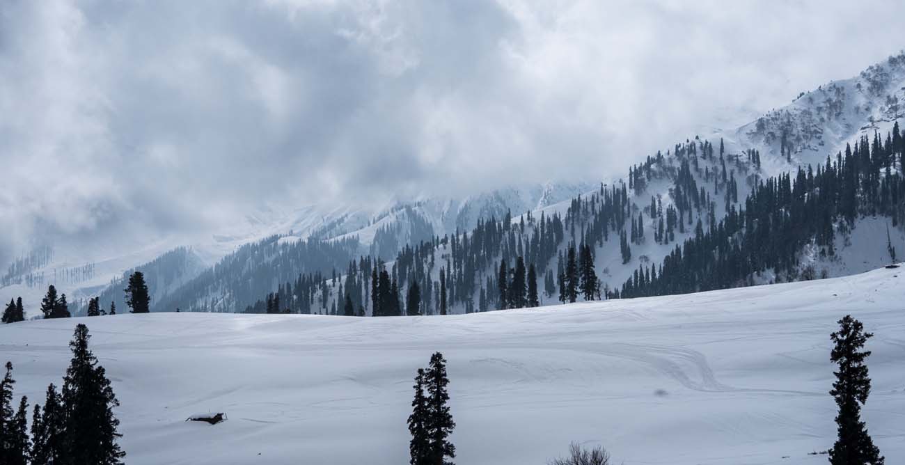 Kashmir Gulmarg Weather