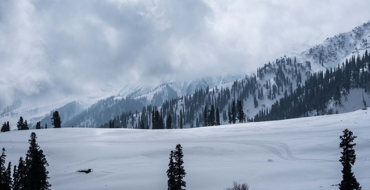 Kashmir gulmarg powder skiing