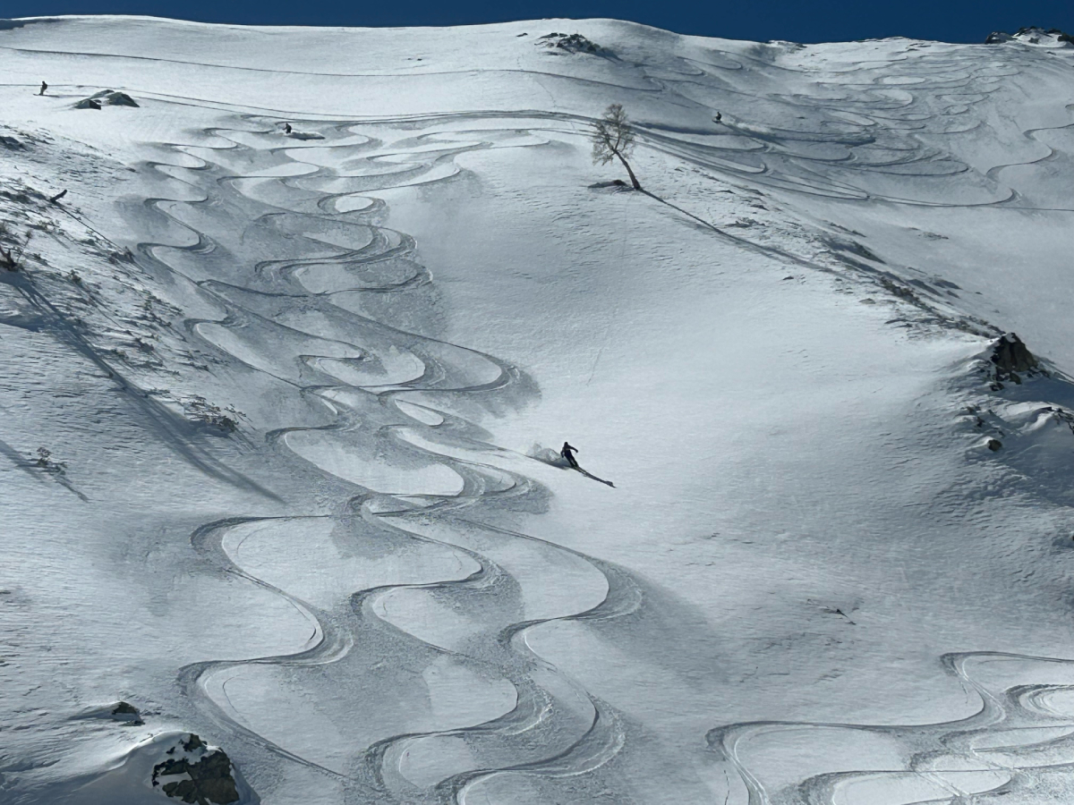 kashmir heliski 2023 gulmarg